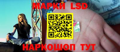 амф Донецк