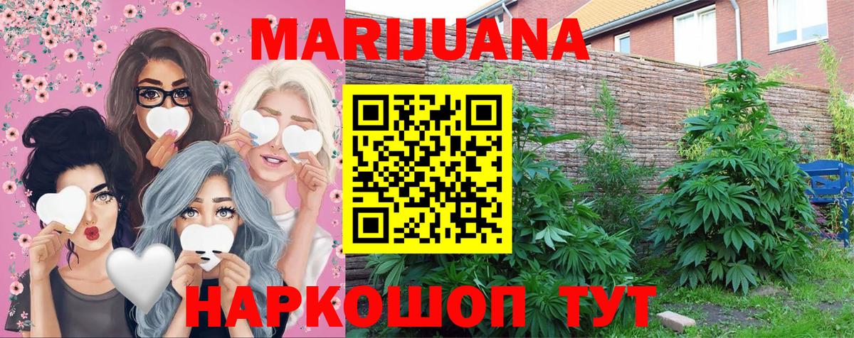 Бошки марихуана Ganja Лянтор